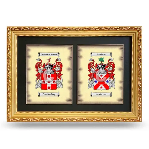 Double Coat of Arms Framed - Gold