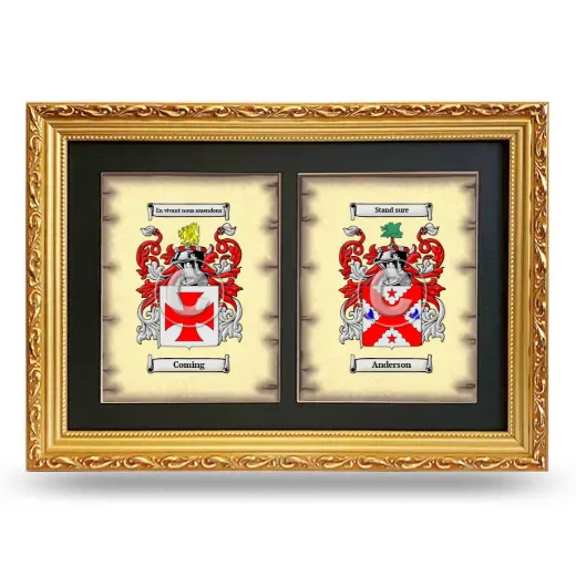 Double Coat of Arms Framed - Gold