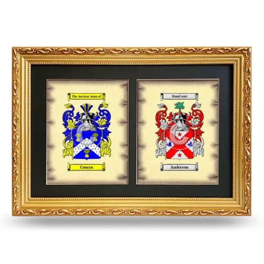 Double Coat of Arms Framed - Gold