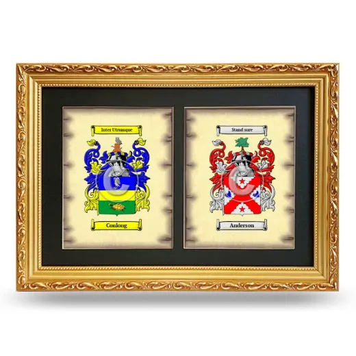 Double Coat of Arms Framed - Gold