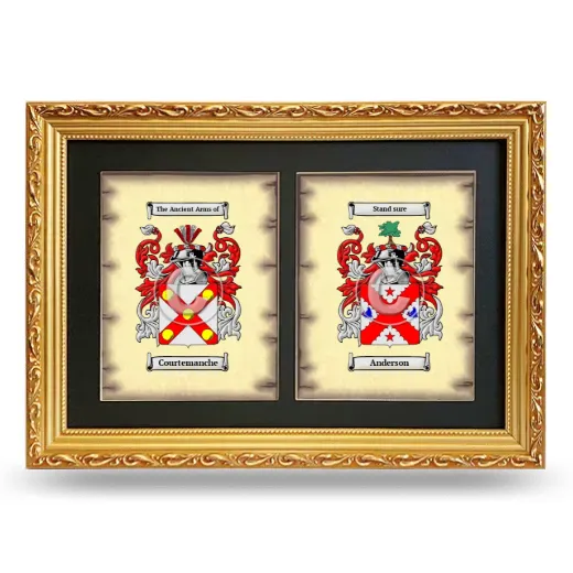 Double Coat of Arms Framed - Gold