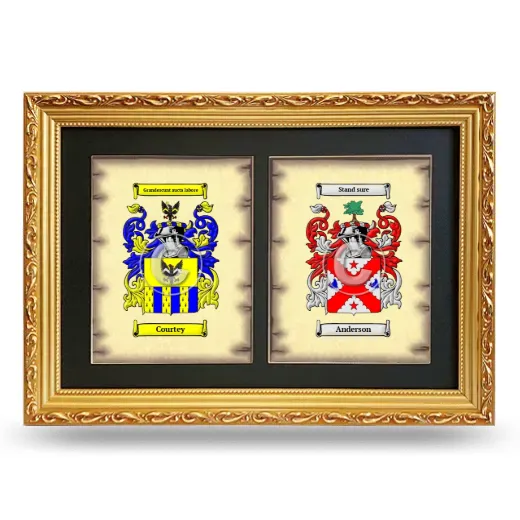 Double Coat of Arms Framed - Gold