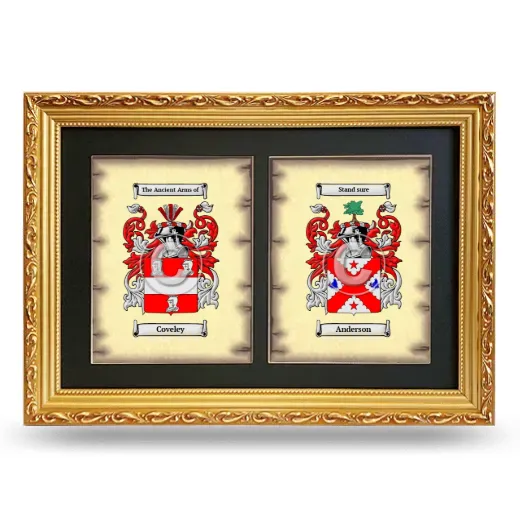 Double Coat of Arms Framed - Gold