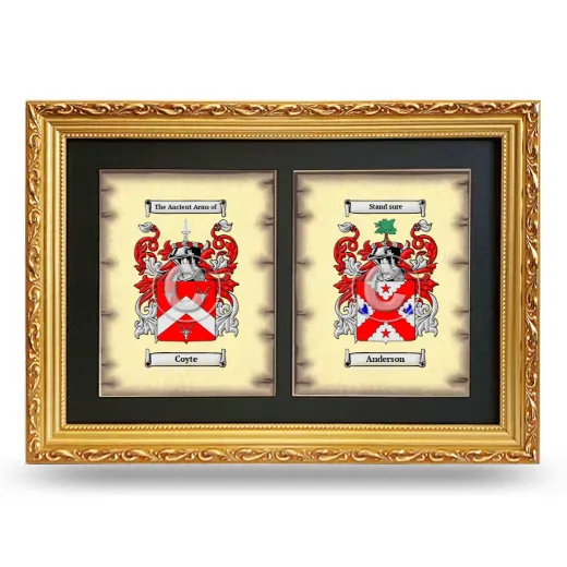Double Coat of Arms Framed - Gold