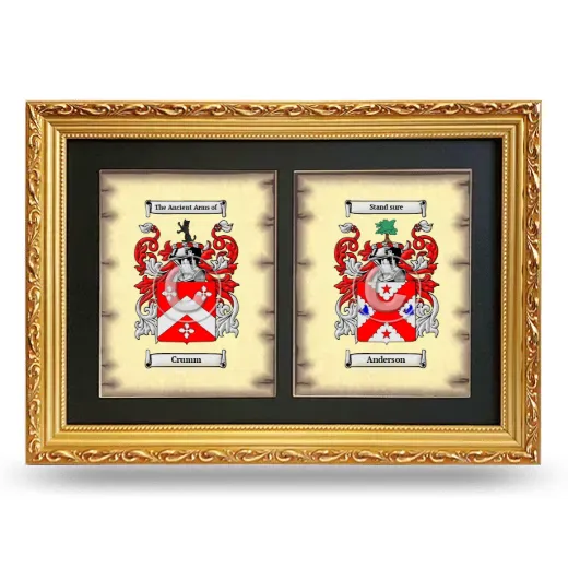 Double Coat of Arms Framed - Gold