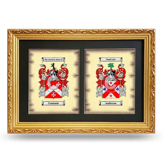 Double Coat of Arms Framed - Gold