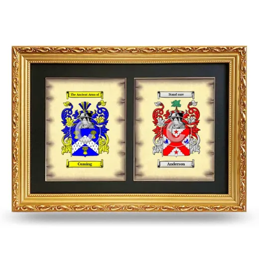 Double Coat of Arms Framed - Gold