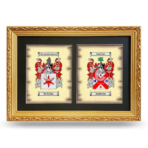 Double Coat of Arms Framed - Gold