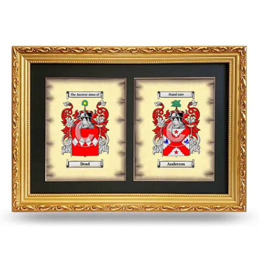 Double Coat of Arms Framed - Gold