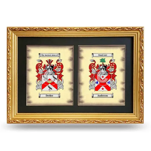 Double Coat of Arms Framed - Gold