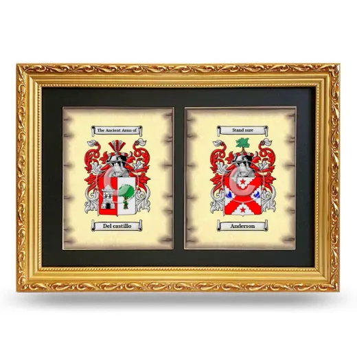Double Coat of Arms Framed - Gold