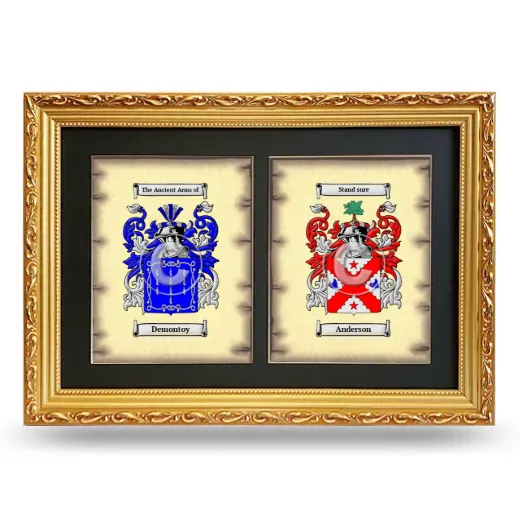Double Coat of Arms Framed - Gold