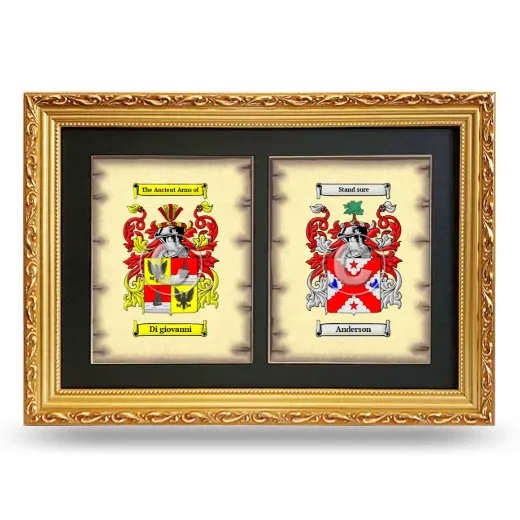 Double Coat of Arms Framed - Gold