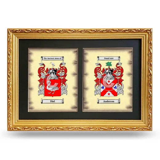Double Coat of Arms Framed - Gold