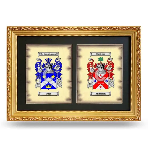 Double Coat of Arms Framed - Gold