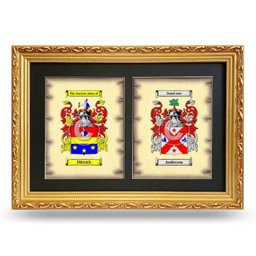 Double Coat of Arms Framed - Gold