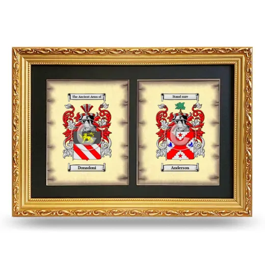 Double Coat of Arms Framed - Gold