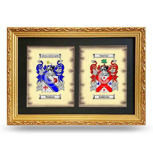 Double Coat of Arms Framed - Gold