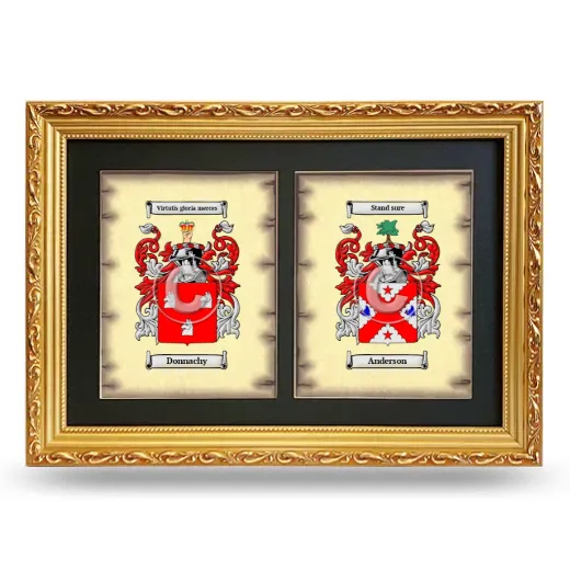 Double Coat of Arms Framed - Gold