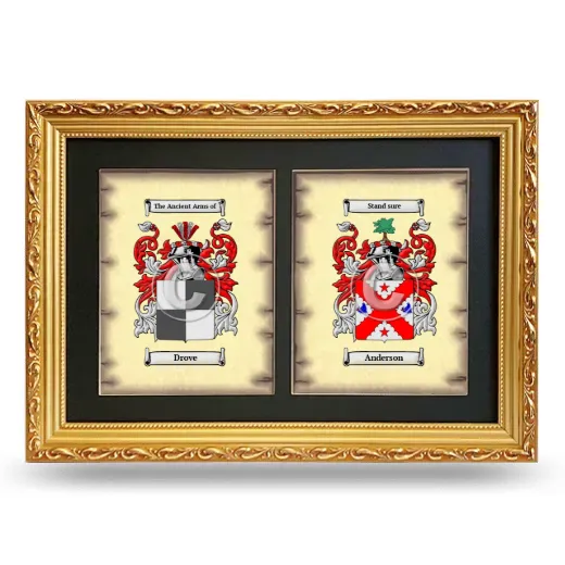 Double Coat of Arms Framed - Gold