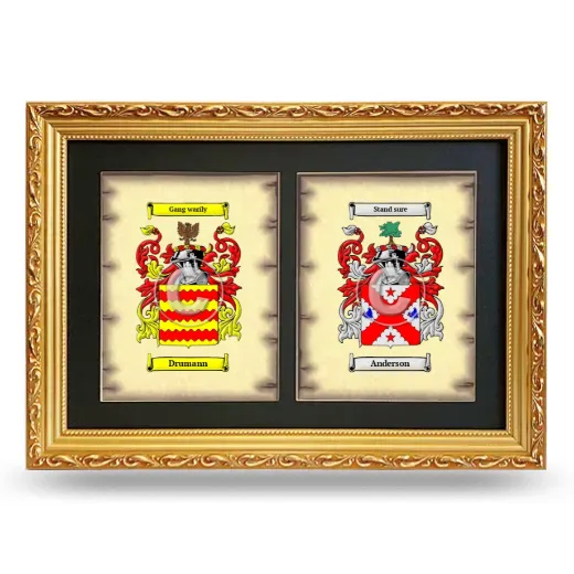 Double Coat of Arms Framed - Gold