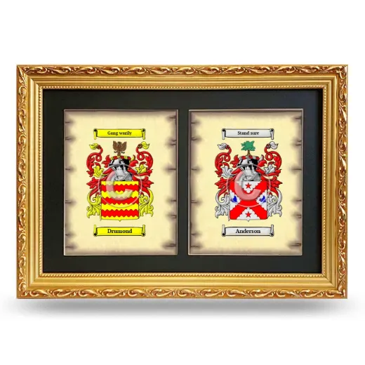 Double Coat of Arms Framed - Gold