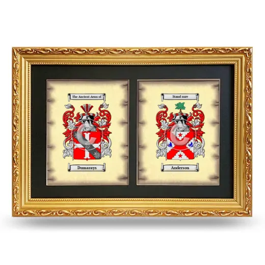 Double Coat of Arms Framed - Gold