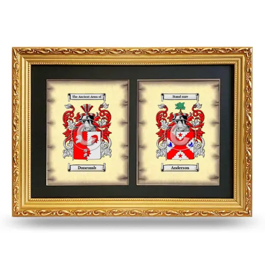 Double Coat of Arms Framed - Gold