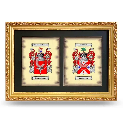 Double Coat of Arms Framed - Gold