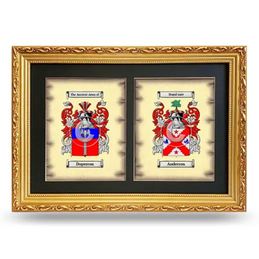 Double Coat of Arms Framed - Gold