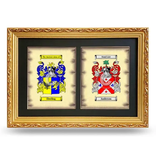 Double Coat of Arms Framed - Gold