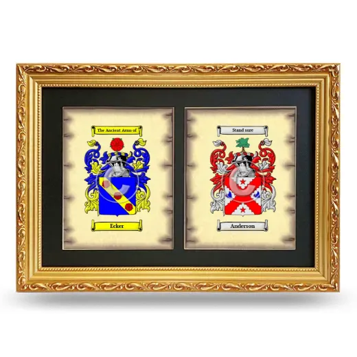 Double Coat of Arms Framed - Gold