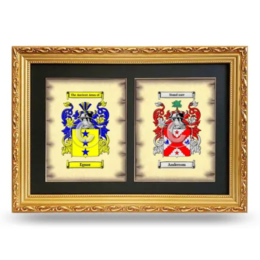 Double Coat of Arms Framed - Gold