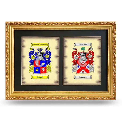 Double Coat of Arms Framed - Gold