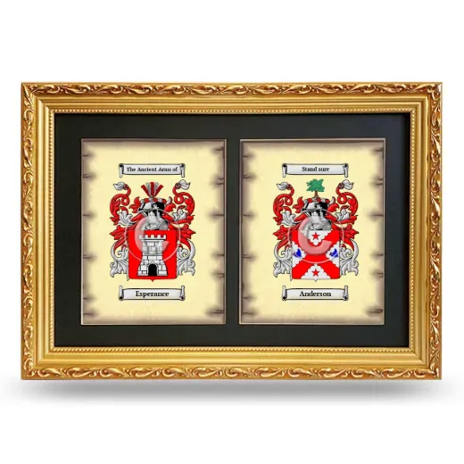 Double Coat of Arms Framed - Gold