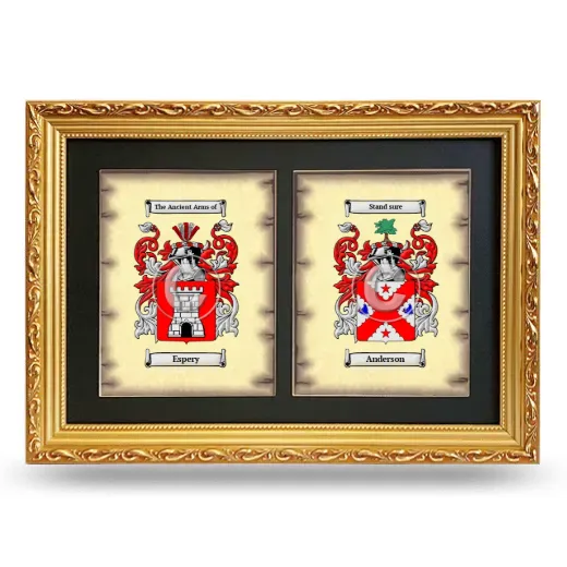 Double Coat of Arms Framed - Gold