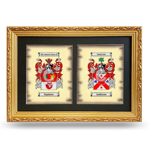 Double Coat of Arms Framed - Gold