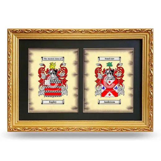 Double Coat of Arms Framed - Gold