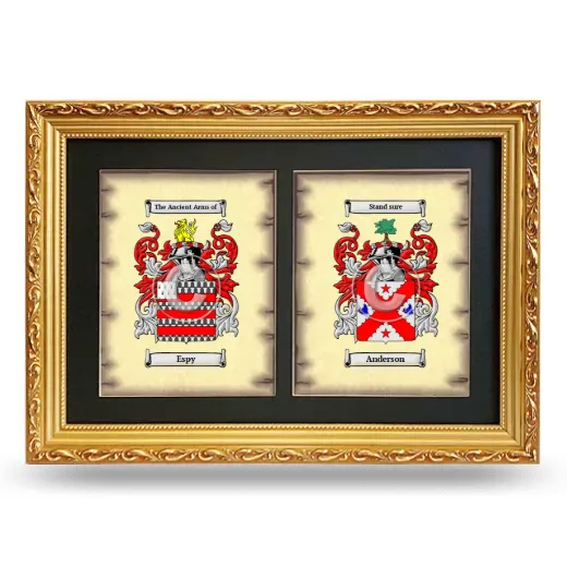 Double Coat of Arms Framed - Gold