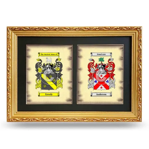 Double Coat of Arms Framed - Gold
