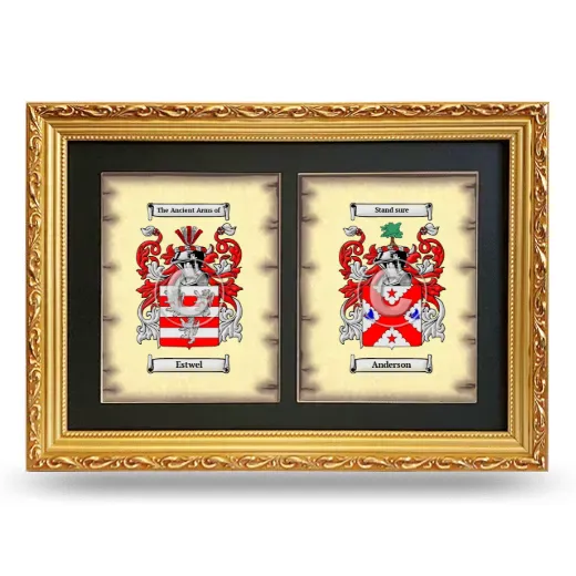 Double Coat of Arms Framed - Gold