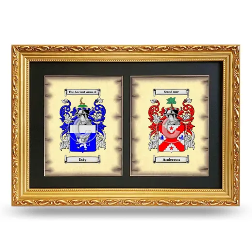 Double Coat of Arms Framed - Gold