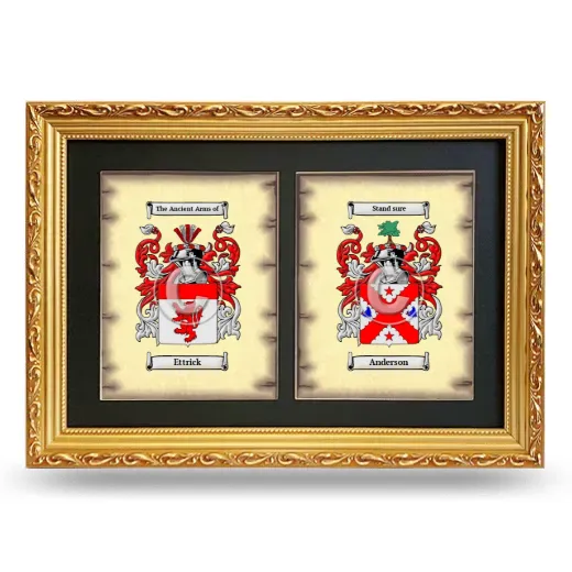 Double Coat of Arms Framed - Gold