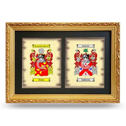 Double Coat of Arms Framed - Gold