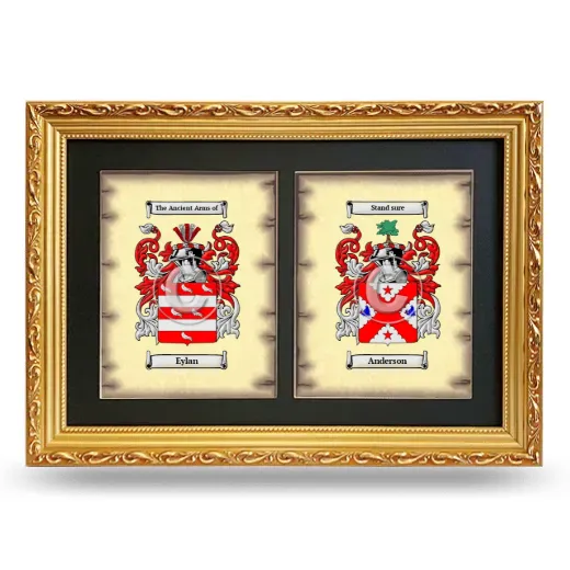 Double Coat of Arms Framed - Gold