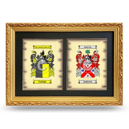 Double Coat of Arms Framed - Gold