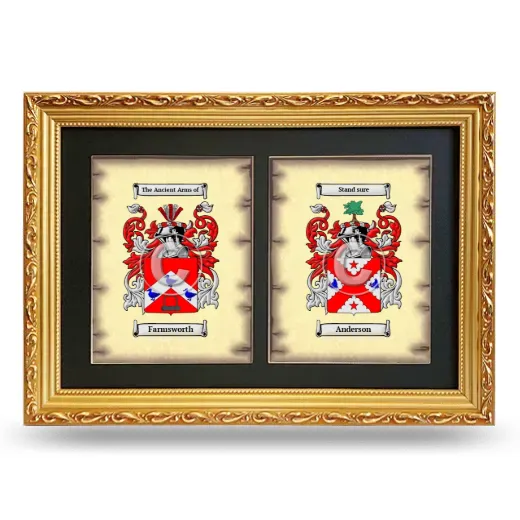 Double Coat of Arms Framed - Gold