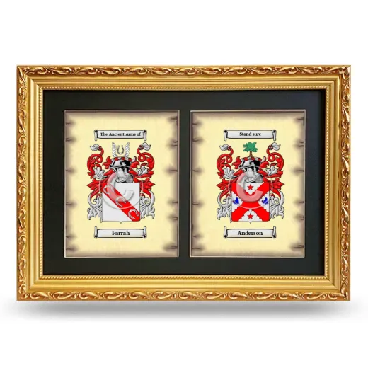 Double Coat of Arms Framed - Gold