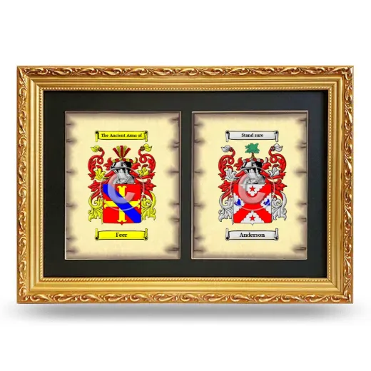Double Coat of Arms Framed - Gold