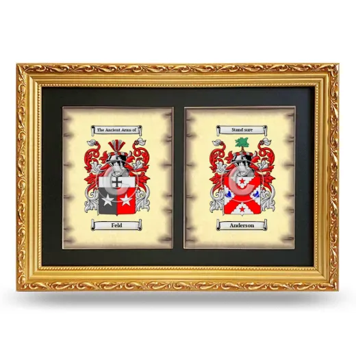 Double Coat of Arms Framed - Gold